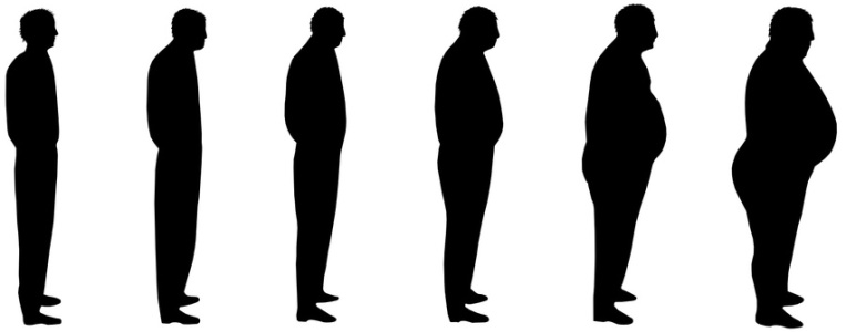 Толстый худой длинный. Силуэт мужчины в профиль. Силуэт человека в полный рост. Силуэт мужчины в профиль в полный рост. Фигура полного человека.